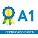 CT-e A1 (1 ano) 